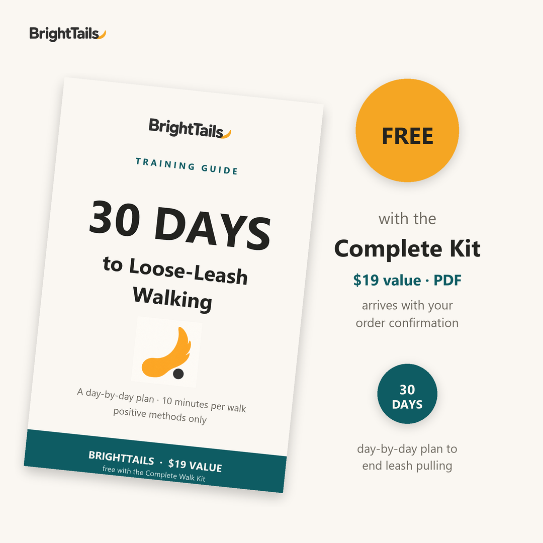 30 Days to Loose-Leash Walking guide - free with the Complete Kit, $19 value