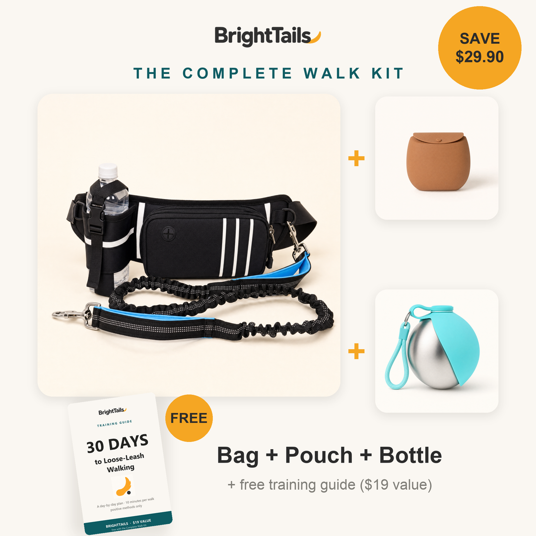 The Complete Walk Kit - bag, treat pouch, water bottle and free training guide, save $29.90
