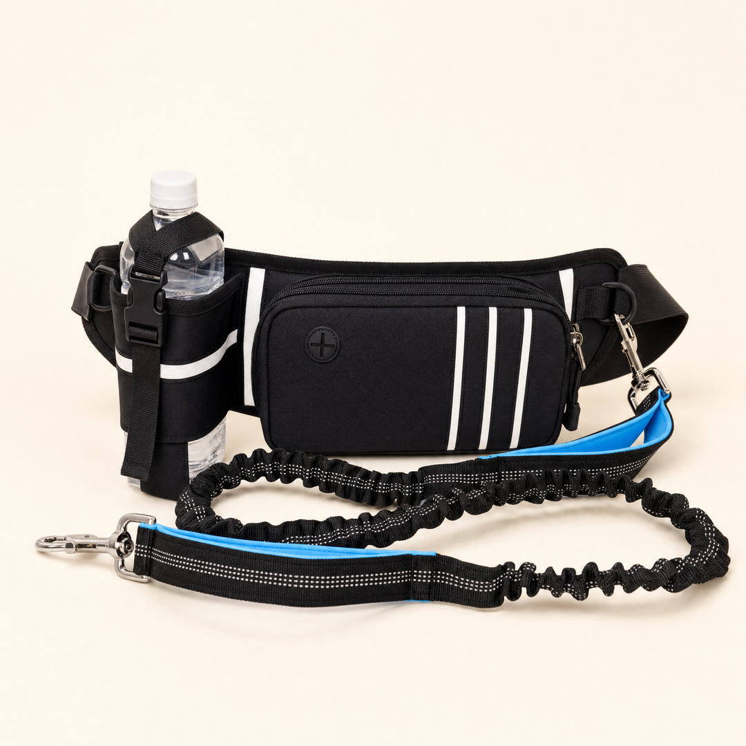 Walk Kit Bag — hands-free dog walking belt with bungee leash, studio